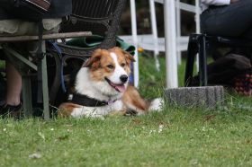 IMG_1089.JPG