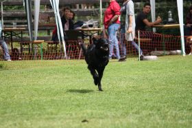 IMG_1312.JPG