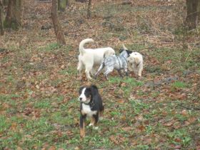 (01.04.06) Bild1.JPG