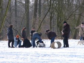 (04.03.06) Bild2.JPG