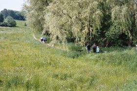 durch die Natur.jpg